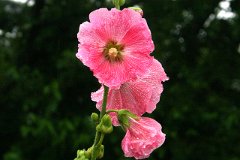 photo 0121